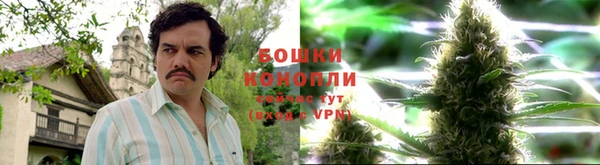 шишки Краснотурьинск